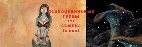 ГАЛЛЮЦИНОГЕННЫЕ ГРИБЫ Болотное