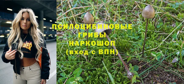 гидра Нея