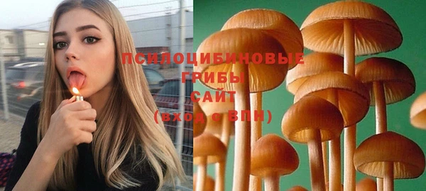ГАЛЛЮЦИНОГЕННЫЕ ГРИБЫ Болотное