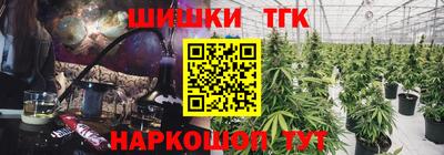 спиды Аргун