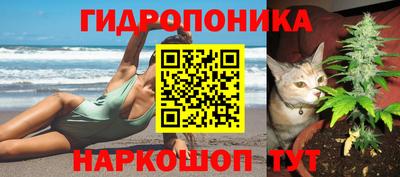 спиды Аргун