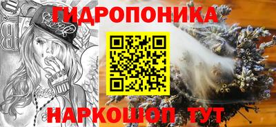 спиды Аргун