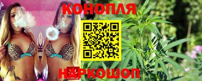 молекула духа Донецк