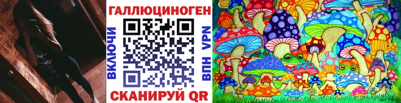 Псилоцибиновые грибы Psilocybine cubensis Ступино