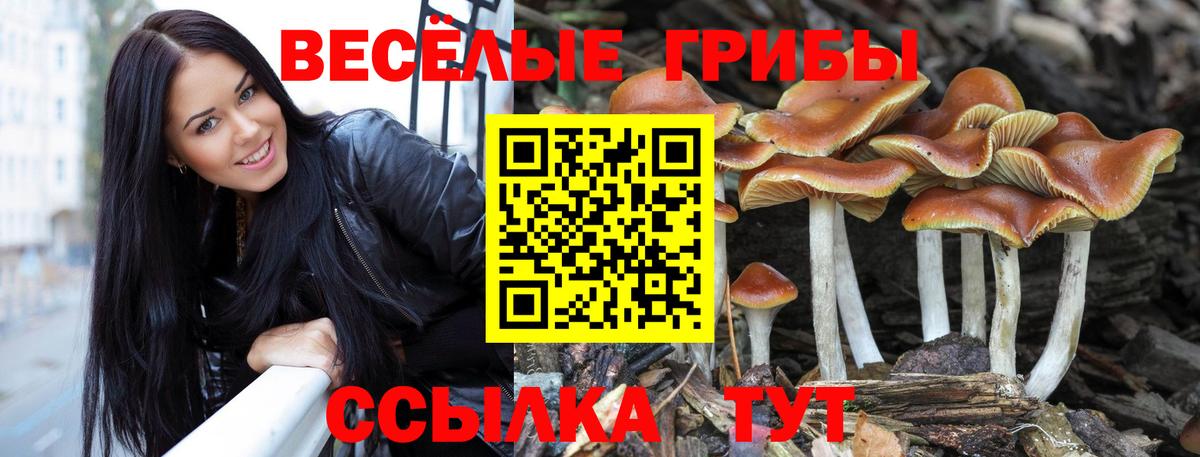 Псилоцибиновые грибы ЛСД Ступино