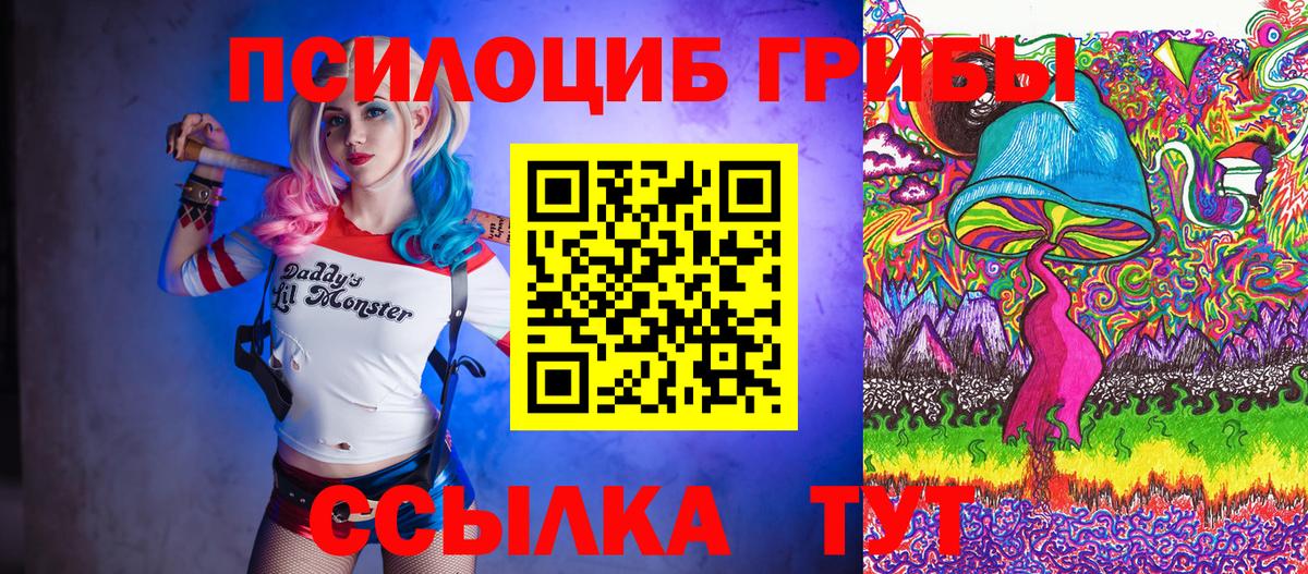Галлюциногенные грибы прущие грибы  Ступино  Галлюциногенные грибы GOLDEN TEACHER 