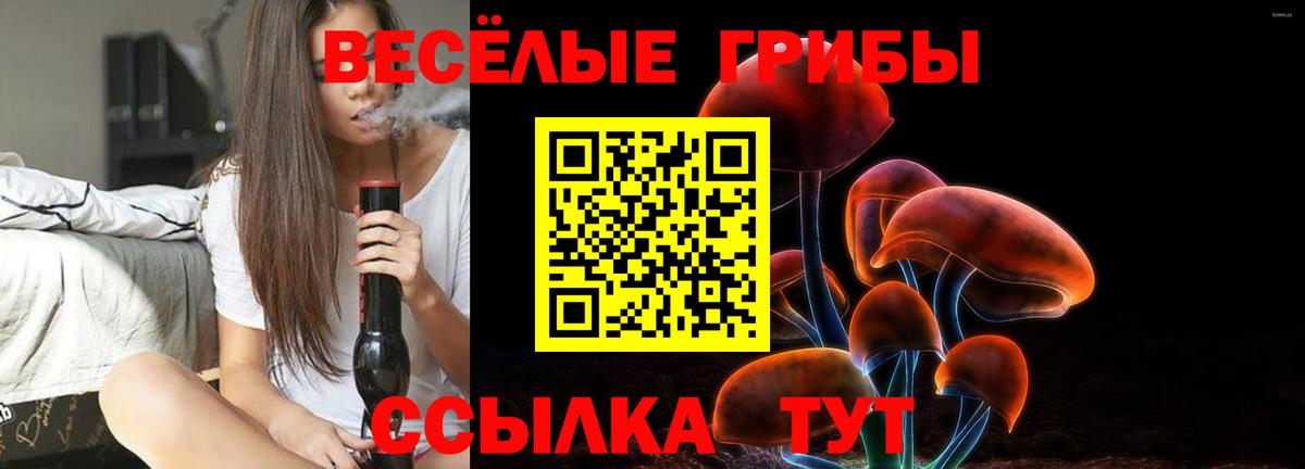 Псилоцибиновые грибы Cubensis Ступино